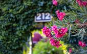 Туры в отель Hotel 212 Olympos