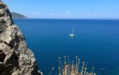Туры в отель Hotel 212 Olympos