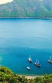 Туры в отель Hotel 212 Olympos
