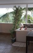 Туры в отель Hotel 212 Olympos