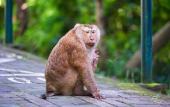 Туры в отель Horange Phuket Town