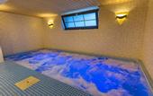 Туры в отель Forest Park Hotel