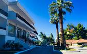 Туры в отель Forest Park Hotel