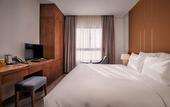 Туры в отель Avora Hotel