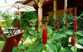 Туры в отель Le Piman Resort