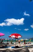Туры в отель The Grand Orchid Inn