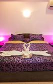 Туры в отель The Grand Orchid Inn