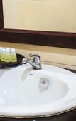 Туры в отель The Grand Orchid Inn