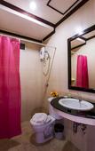Туры в отель The Grand Orchid Inn
