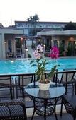 Туры в отель Thuan Resort