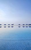 Туры в отель InterContinental Shenzhen Dameisha Resort