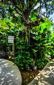 Туры в отель Cocoville Phuket Resort