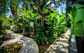 Туры в отель Cocoville Phuket Resort