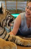 Туры в отель Cocoville Phuket Resort