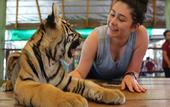 Туры в отель Cocoville Phuket Resort