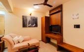 Туры в отель Jingle Tree Resort