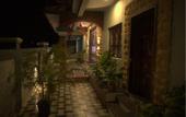 Туры в отель Jingle Tree Resort