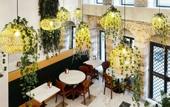 Туры в отель Pera Rasso Hotel