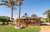 Туры в отель Fort Arabesque Resort, Spa & Villas