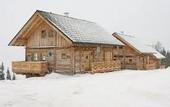 Туры в отель Almwelt Austria
