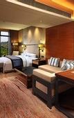 Туры в отель Doubletree By Hilton Hotel Guangzhou - Science City
