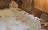 Туры в отель Betas Guesthouse