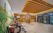 Туры в отель Hilton Garden Inn Guangzhou Airport Aerotropolis