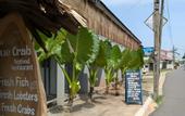 Туры в отель The Blue Crab Beach
