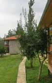Туры в отель Lycia Nature House