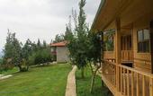 Туры в отель Lycia Nature House