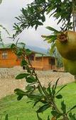 Туры в отель Lycia Nature House
