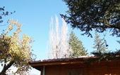 Туры в отель Lycia Nature House