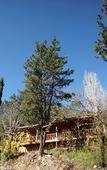 Туры в отель Lycia Nature House
