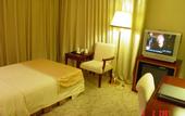 Туры в отель China Palace Hotel