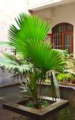 Туры в отель 99 Oldtown Boutique Guesthouse
