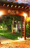 Туры в отель Alican Pension