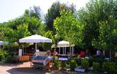 Туры в отель Alican Pension