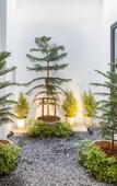 Туры в отель The Elements Boutique House