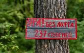 Туры в отель Green Wood