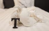 Туры в отель Well Timed Hotel