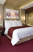 Туры в отель Beijing Marriott Hotel Northeast