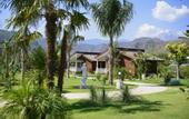 Туры в отель Cirali Hera Hotel
