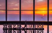 Туры в отель J Hotel Shanghai Tower