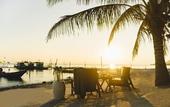 Туры в отель The Beach Samui