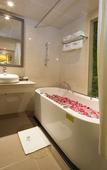 Туры в отель Sunflower Luxury Hotel
