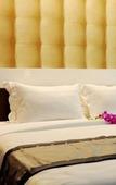 Туры в отель Sunflower Luxury Hotel