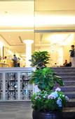 Туры в отель Sunflower Luxury Hotel