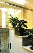 Туры в отель Sunflower Luxury Hotel