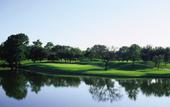 Туры в отель Four Seasons Resort & Club Dallas