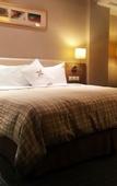 Туры в отель Four Points by Sheraton Shanghai, Pudong